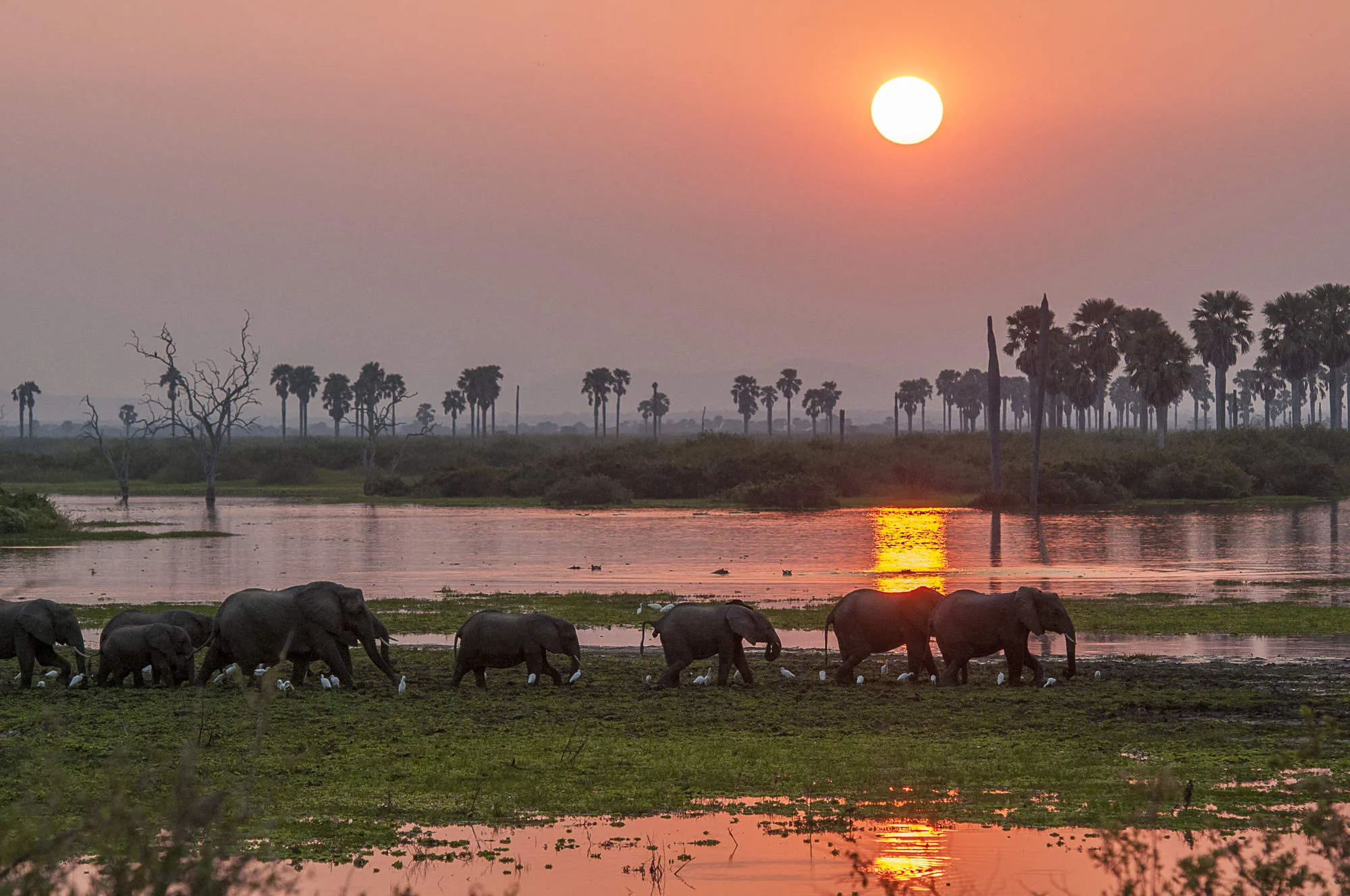 Selous River Camp accommodation at Nyerere National Park, Tanzania